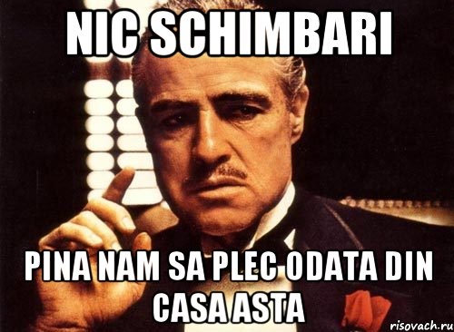 nic schimbari pina nam sa plec odata din casa asta, Мем крестный отец