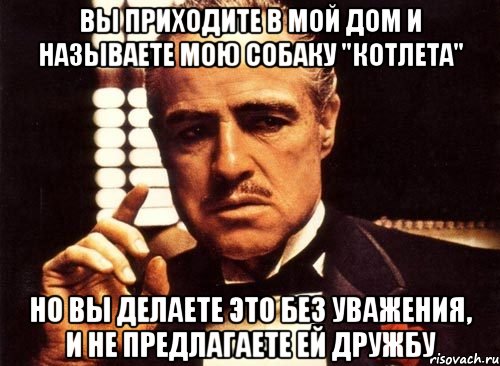 вы приходите в мой дом и называете мою собаку "котлета" но вы делаете это без уважения, и не предлагаете ей дружбу, Мем крестный отец