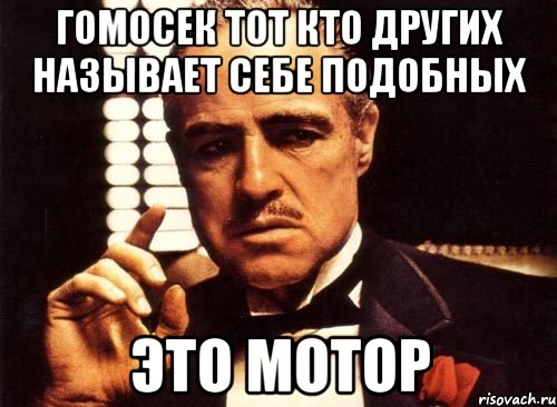 Гомосек тот кто других называет себе подобных Это МОТОР, Мем крестный отец