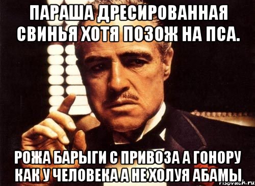 Параша дресированная свинья хотя позож на пса. Рожа барыги с привоза а гонору как у человека а не холуя абамы, Мем крестный отец