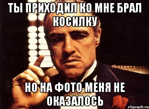 Ты приходил ко мне брал косилку Но на фото меня не оказалось, Мем крестный отец