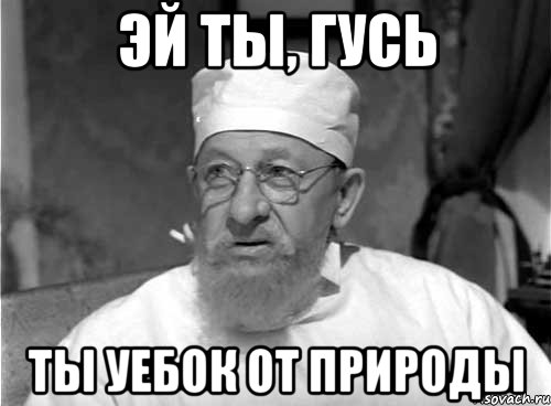 эй ты, гусь ты уебок от природы, Мем Профессор Преображенский