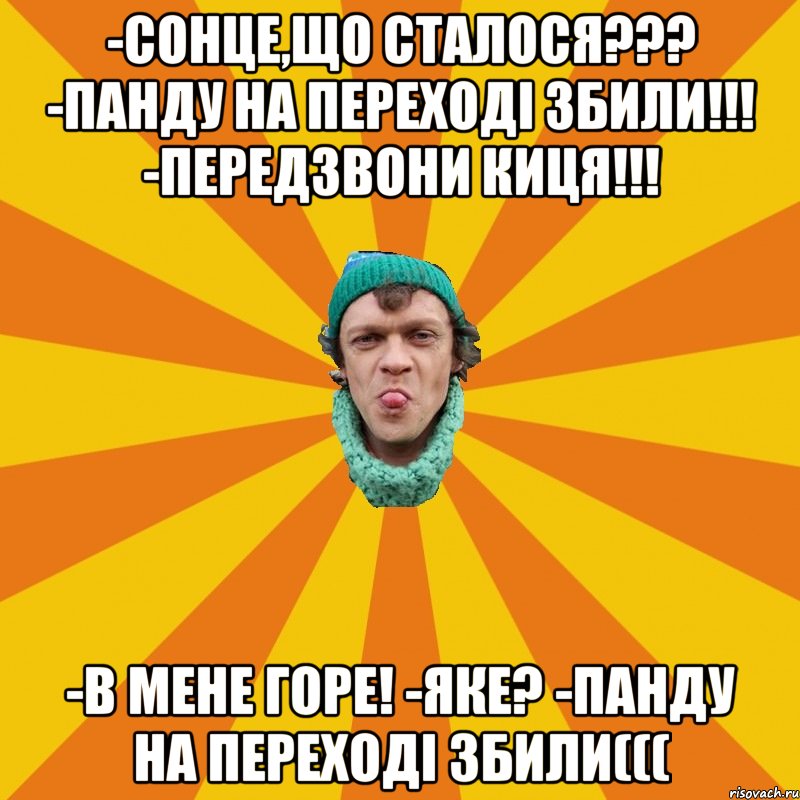 -Сонце,що сталося??? -Панду на переході збили!!! -Передзвони киця!!! -В мене горе! -Яке? -Панду на переході збили(((