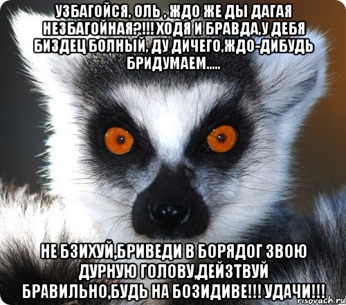 Узбагойся, Оль , ждо же ды дагая незбагойная?!!! Ходя и бравда,у дебя биздец болный, ду дичего,ждо-дибудь бридумаем..... Не бзихуй,бриведи в борядог звою дурную голову,дейзтвуй бравильно,будь на бозидиве!!! Удачи!!!, Мем лемур