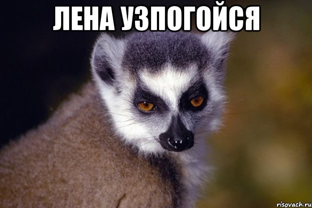 Лена Узпогойся 