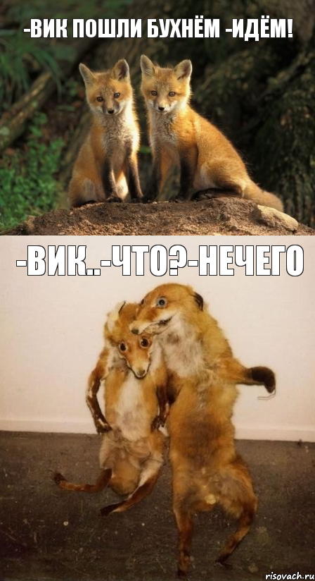 -ВИК ПОШЛИ БУХНЁМ -ИДЁМ! -ВИК..-ЧТО?-НЕЧЕГО, Комикс Лисицы