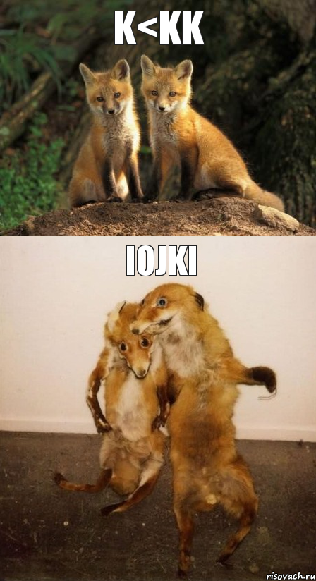 K<KK IOJKI, Комикс Лисицы