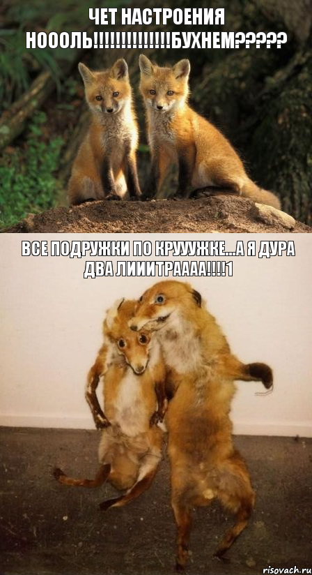 Чет настроения ноооль!!!!!!!!!!!!!!Бухнем????? Все подружки по крууужке...а я дура два лииитраааа!!!!1, Комикс Лисицы