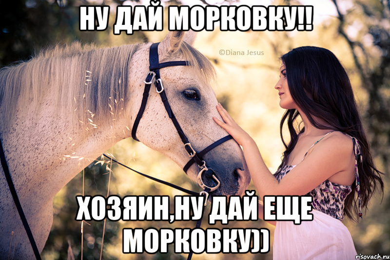 Ну дай морковку!! Хозяин,ну дай еще морковку))