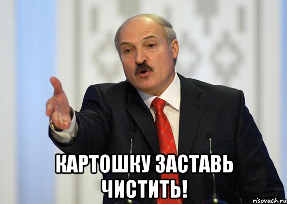  картошку заставь чистить!, Мем лукашенко