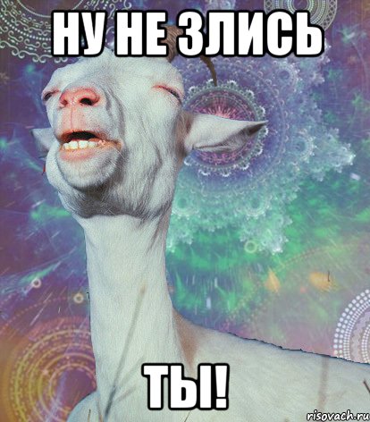 Ну не злись ТЫ!, Мем мага ты ювелир