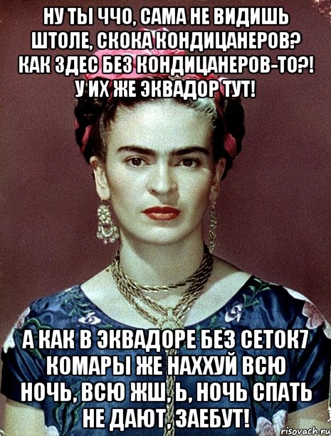 Ну ты ччо, сама не видишь штоле, скока кондицанеров? Как здес без кондицанеров-то?! У их же Эквадор тут! А как в Эквадоре без сеток7 Комары же наххуй всю ночь, всю жш, Ь, ночь спать не дают, заебут!