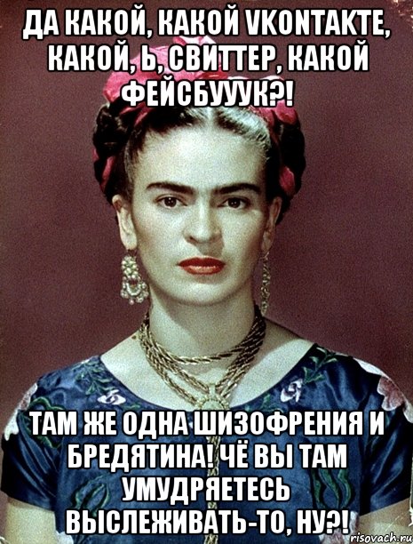 Да какой, какой vkontakte, какой, Ь, свиттер, какой фейсбууук?! Там же одна шизофрения и бредятина! Чё вы там умудряетесь выслеживать-то, ну?!