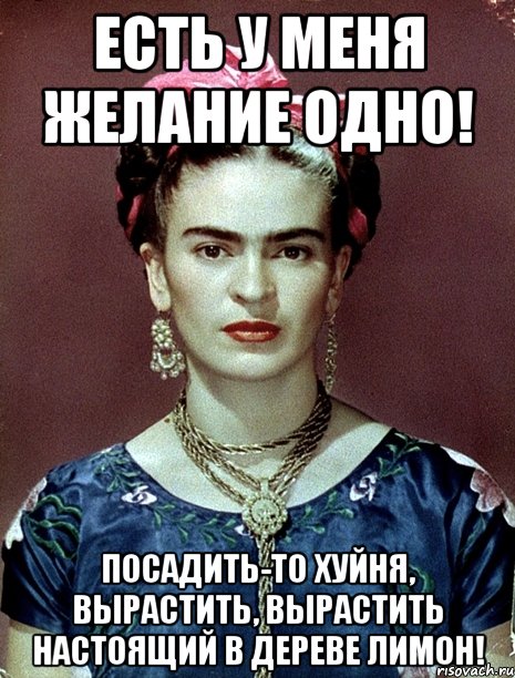 Есть у меня желание одно! Посадить-то хуйня, вырастить, вырастить настоящий в дереве лимон!