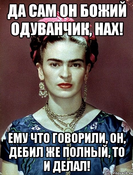 Да сам он божий одуванчик, нах! Ему что говорили, он, дебил же полный, то и делал!