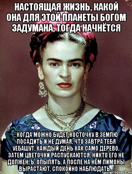 Настоящая жизнь, какой она для этой планеты Богом задумана, тогда начнётся , когда можно будет косточку в землю посадить и не думая, что завтра тебя уебашут, каждый день как само дерево, затем цветочки распускаются, никто его не должен, Ь, опылять, а после на нём лимоны вырастают, спокойно наблюдать...