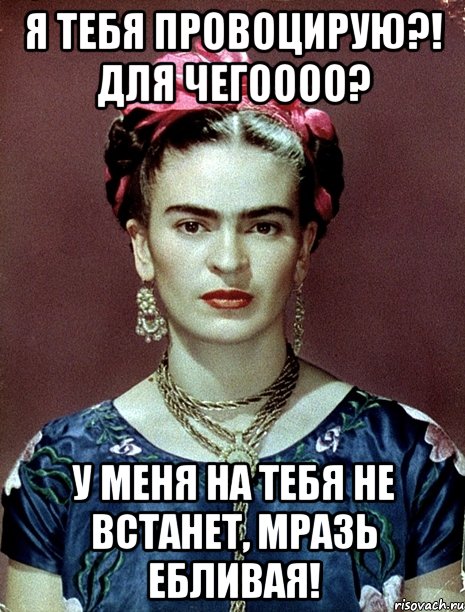 Я тебя провоцирую?! Для чегоооо? У меня на тебя не встанет, мразь ебливая!