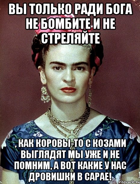 Вы только ради Бога не бомбите и не стреляйте , как коровы-то с козами выглядят мы уже и не помним, а вот какие у нас дровишки в сарае!, Мем Magdalena Carmen Frieda Kahlo Ca