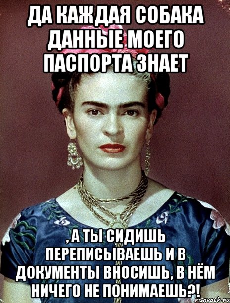 Да каждая собака данные моего паспорта знает , а ты сидишь переписываешь и в документы вносишь, в нём ничего не понимаешь?!, Мем Magdalena Carmen Frieda Kahlo Ca