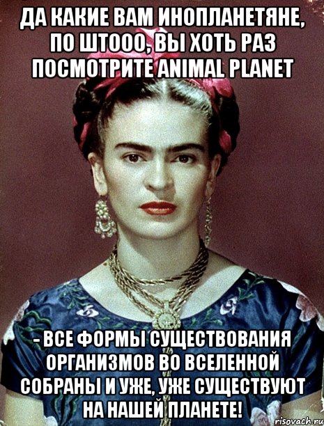 Да какие вам инопланетяне, по штооо, вы хоть раз посмотрите Animal Planet - все формы существования организмов во вселенной собраны и уже, уже существуют на нашей планете!, Мем Magdalena Carmen Frieda Kahlo Ca