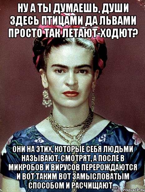 Ну а ты думаешь, души здесь птицами да львами просто так летают-ходют? Они на этих, которые себя людьми называют, смотрят, а после в микробов и вирусов перерождаются и вот таким вот замысловатым способом и расчищают..., Мем Magdalena Carmen Frieda Kahlo Ca