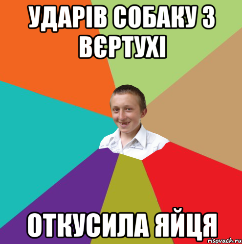 ударів собаку з вєртухі откусила яйця, Мем  малый паца