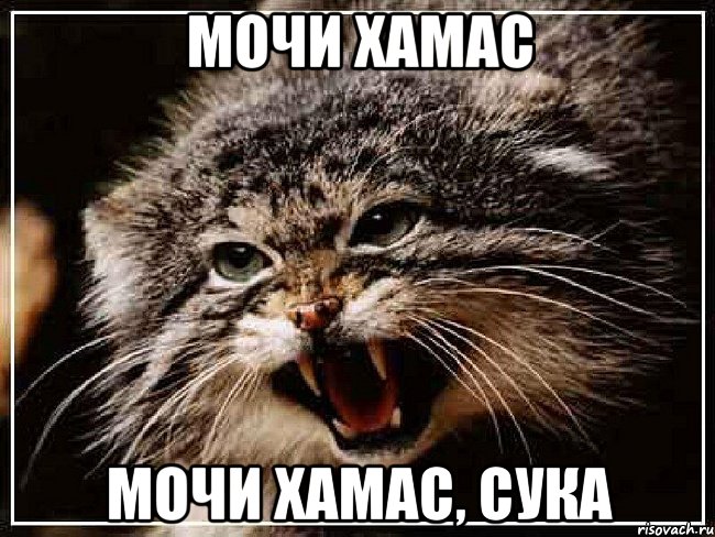МОЧИ ХАМАС МОЧИ ХАМАС, СУКА, Мем манул