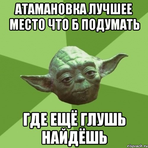 Атамановка лучшее место что б подумать где ещё глушь найдёшь, Мем Мастер Йода