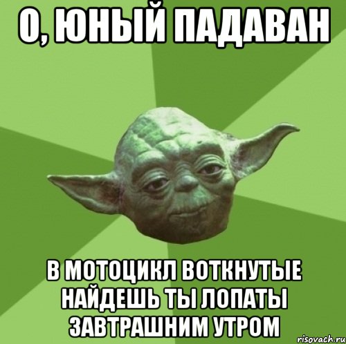 о, юный падаван в мотоцикл воткнутые найдешь ты лопаты завтрашним утром, Мем Мастер Йода