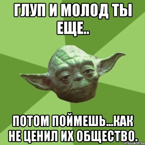 Глуп и молод ты еще.. Потом поймешь...как не ценил их общество., Мем Мастер Йода