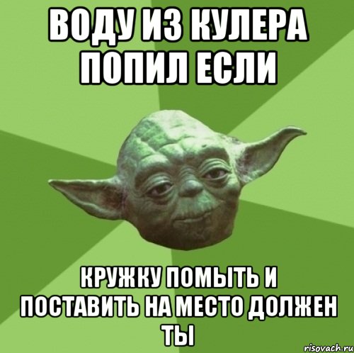 воду из кулера попил если кружку помыть и поставить на место должен ты, Мем Мастер Йода