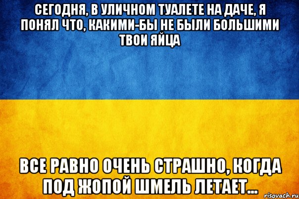 Сегодня, в уличном туалете на даче, я понял что, какими-бы не были большими твои яйца все равно очень страшно, когда под жопой шмель летает...
