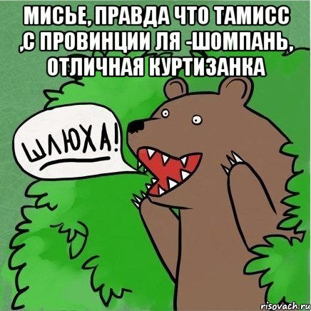 Мисье, правда что тамисс ,с провинции ля -шомпань, отличная куртизанка , Мем Медведь в кустах