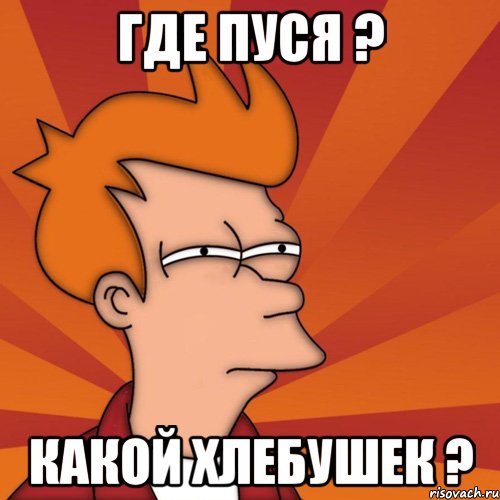 Где Пуся ? Какой хлебушек ?, Мем Мне кажется или (Фрай Футурама)