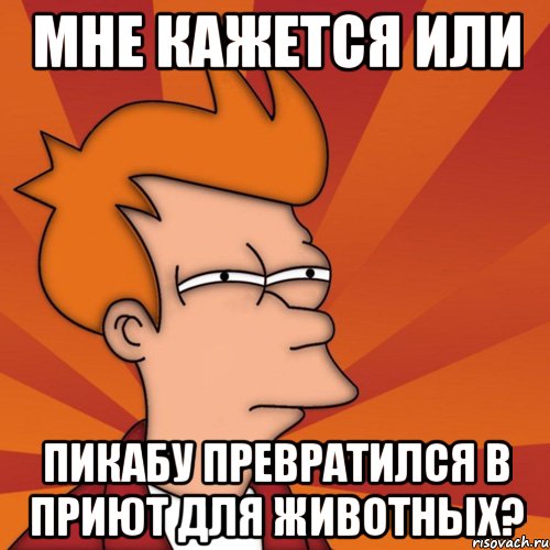 Мне кажется или Пикабу превратился в приют для животных?, Мем Мне кажется или (Фрай Футурама)