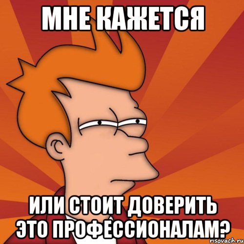 Мне кажется или стоит доверить это профессионалам?, Мем Мне кажется или (Фрай Футурама)