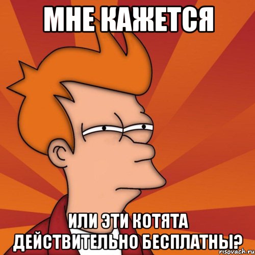МНЕ КАЖЕТСЯ ИЛИ ЭТИ КОТЯТА ДЕЙСТВИТЕЛЬНО БЕСПЛАТНЫ?, Мем Мне кажется или (Фрай Футурама)