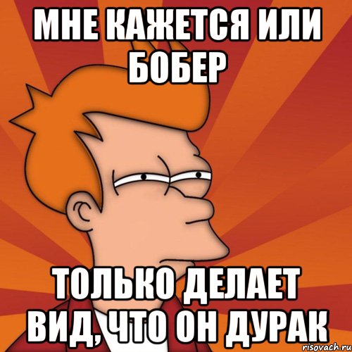 Мне кажется или бобер только делает вид, что он дурак, Мем Мне кажется или (Фрай Футурама)