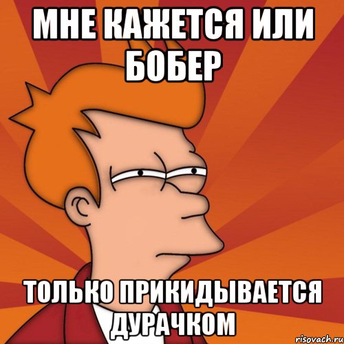 Мне кажется или бобер только прикидывается дурачком, Мем Мне кажется или (Фрай Футурама)