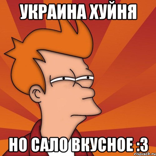 Украина Хуйня Но сало вкусное :3, Мем Мне кажется или (Фрай Футурама)