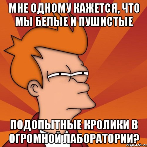 Мне одному кажется, что мы белые и пушистые подопытные кролики в огромной лаборатории?, Мем Мне кажется или (Фрай Футурама)