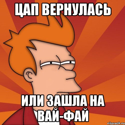 Цап вернулась или зашла на вай-фай, Мем Мне кажется или (Фрай Футурама)