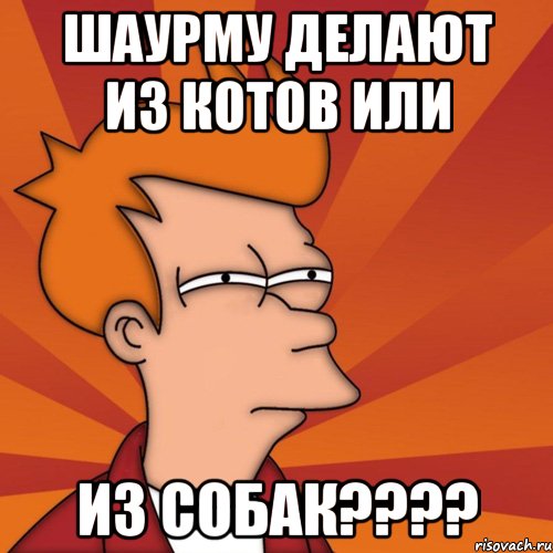 шаурму делают из котов или из собак????, Мем Мне кажется или (Фрай Футурама)