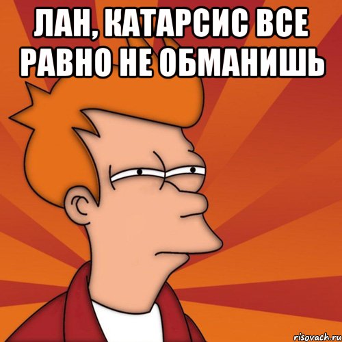 лан, катарсис все равно не обманишь , Мем Мне кажется или (Фрай Футурама)