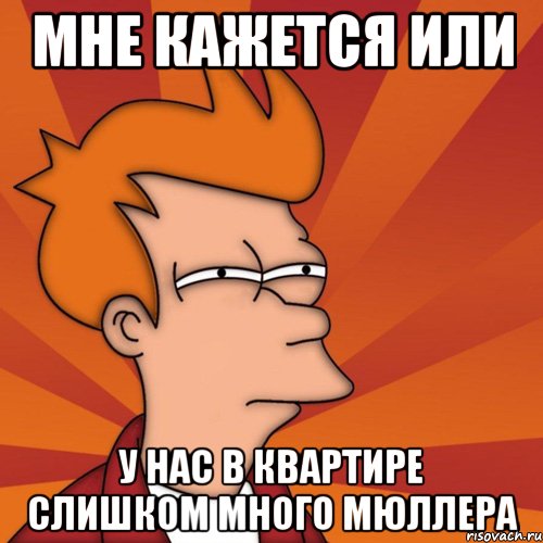 Мне кажется или у нас в квартире слишком много Мюллера, Мем Мне кажется или (Фрай Футурама)