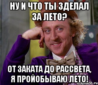 Ну и что ты зделал за лето? От заката до рассвета, я пройобываю лето!, Мем мое лицо