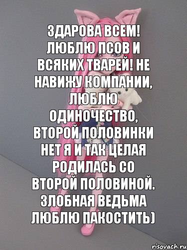 здарова всем! люблю псов и всяких тварей! не навижу компании, люблю одиночество, второй половинки нет я и так целая родилась со второй половиной. злобная ведьма люблю пакостить), Комикс монстер хай новая ученица