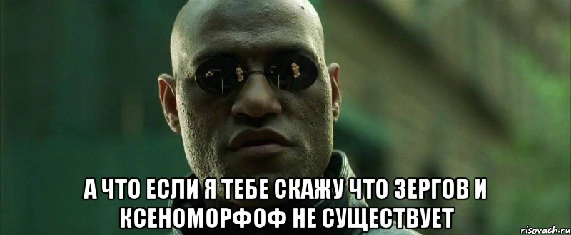  А что если я тебе скажу что зергов и ксеноморфоф не существует, Мем  морфеус