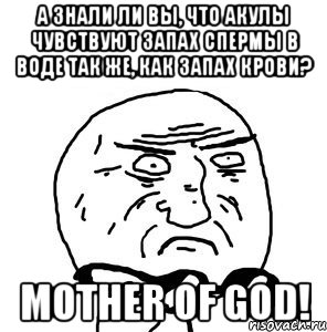 А знали ли вы, что акулы чувствуют запах спермы в воде так же, как запах крови? mother of god!