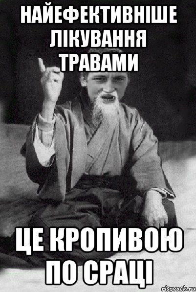 Найефективніше лікування травами це кропивою по сраці, Мем Мудрий паца